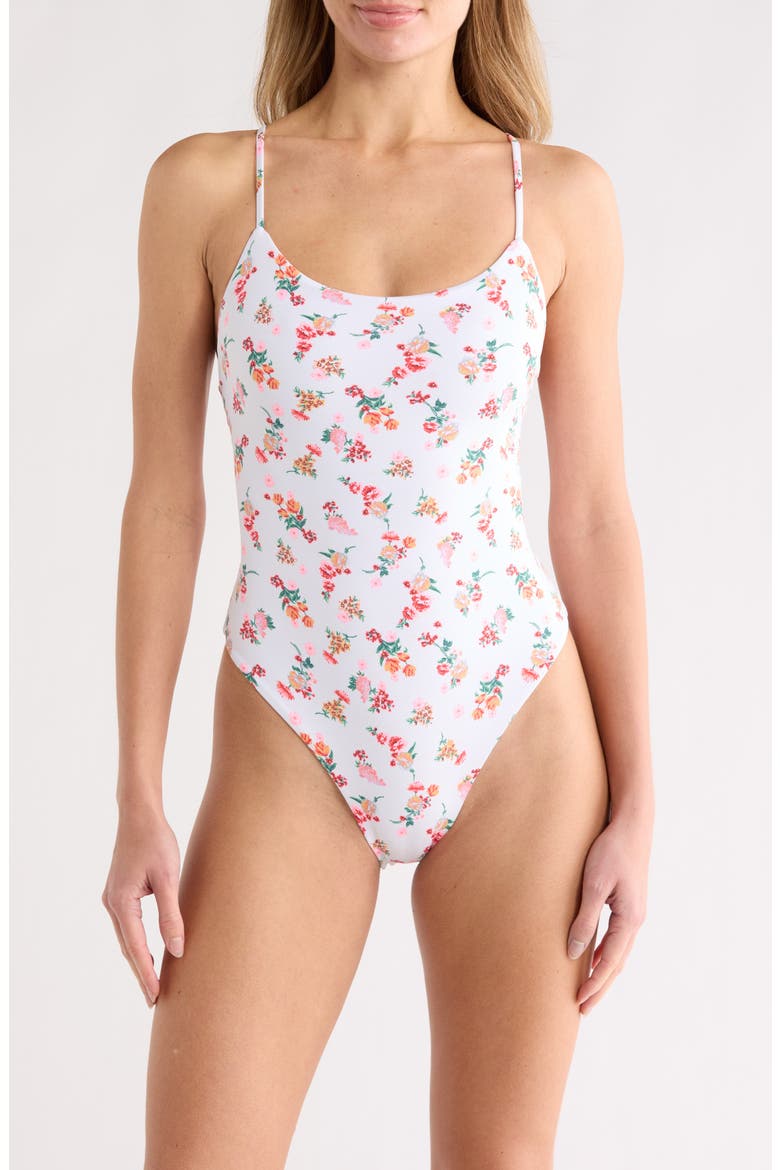 Luster One-Piece Swimsuit, Main, color, OPEN BROWN