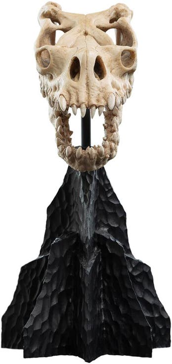 Lotr - Skull Of A Fell Beast Polystone Statue