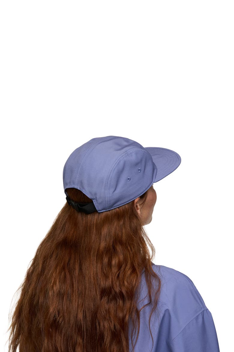 Llama Stripes 5-Panel Hat, Alternate, color, Blue Smoke