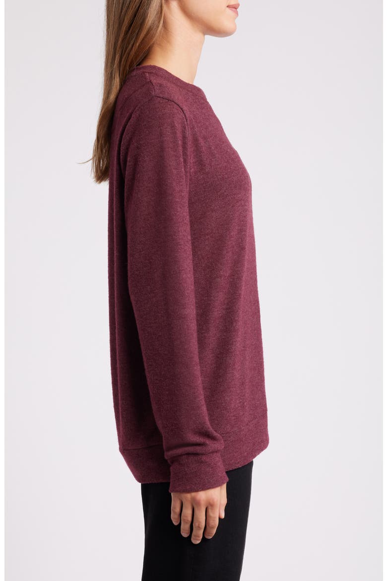 Crewneck Brushed Jersey Top, Alternate, color, PLUM