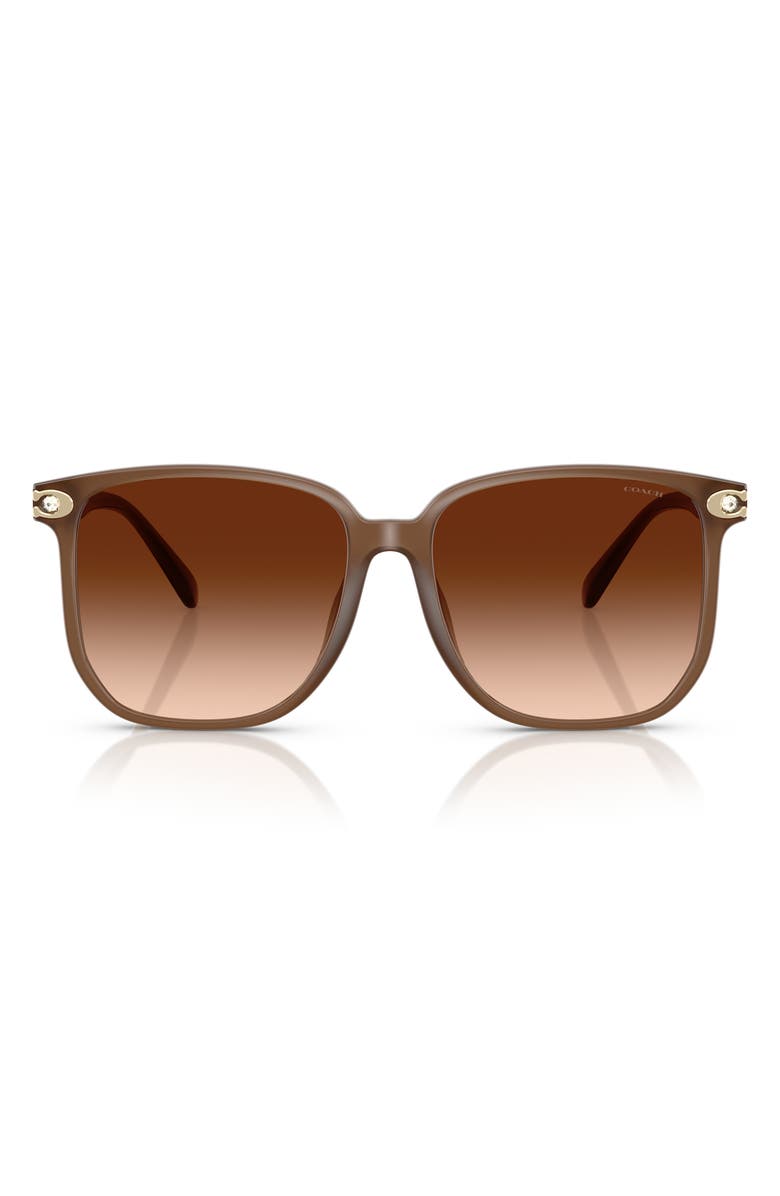 COACH 58mm Gradient Square Sunglasses, Main, color, Milky Brown / Brown Gradient