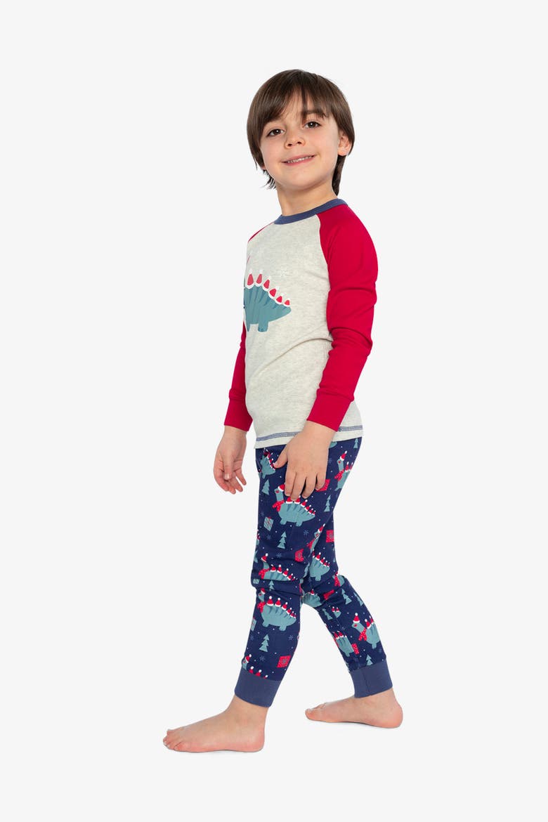 Organic Cotton Dinosaur Top Pants Two Piece Pajama Set, Alternate, color, Blue Dinosaur Print