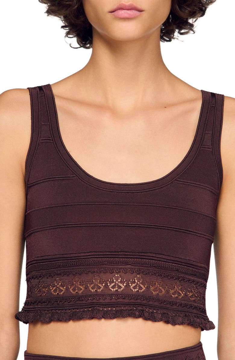 SANDRO Pointelle knit crop top, Alternate, color, Brown