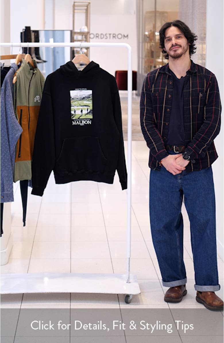 Fesque Embroidered Lowlands Graphic Hoodie, sales video thumbnail