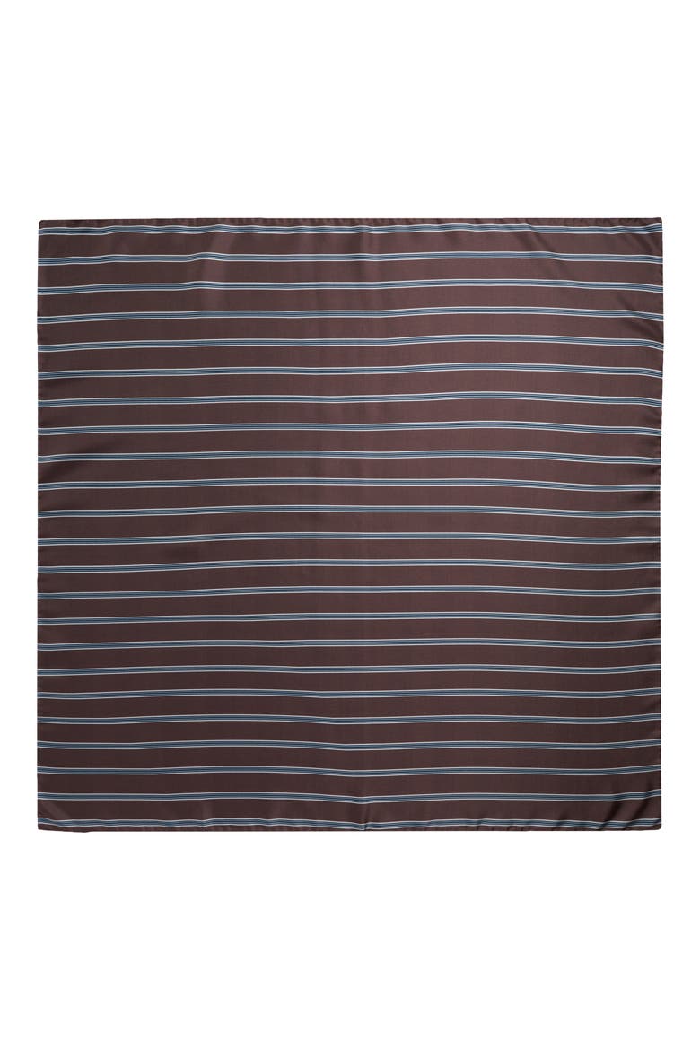 Stripe Silk Twill Scarf, Alternate, color, BROWN