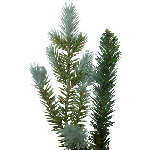 Northlight Real Touch Blue Spruce Artificial Christmas Wreath In Green