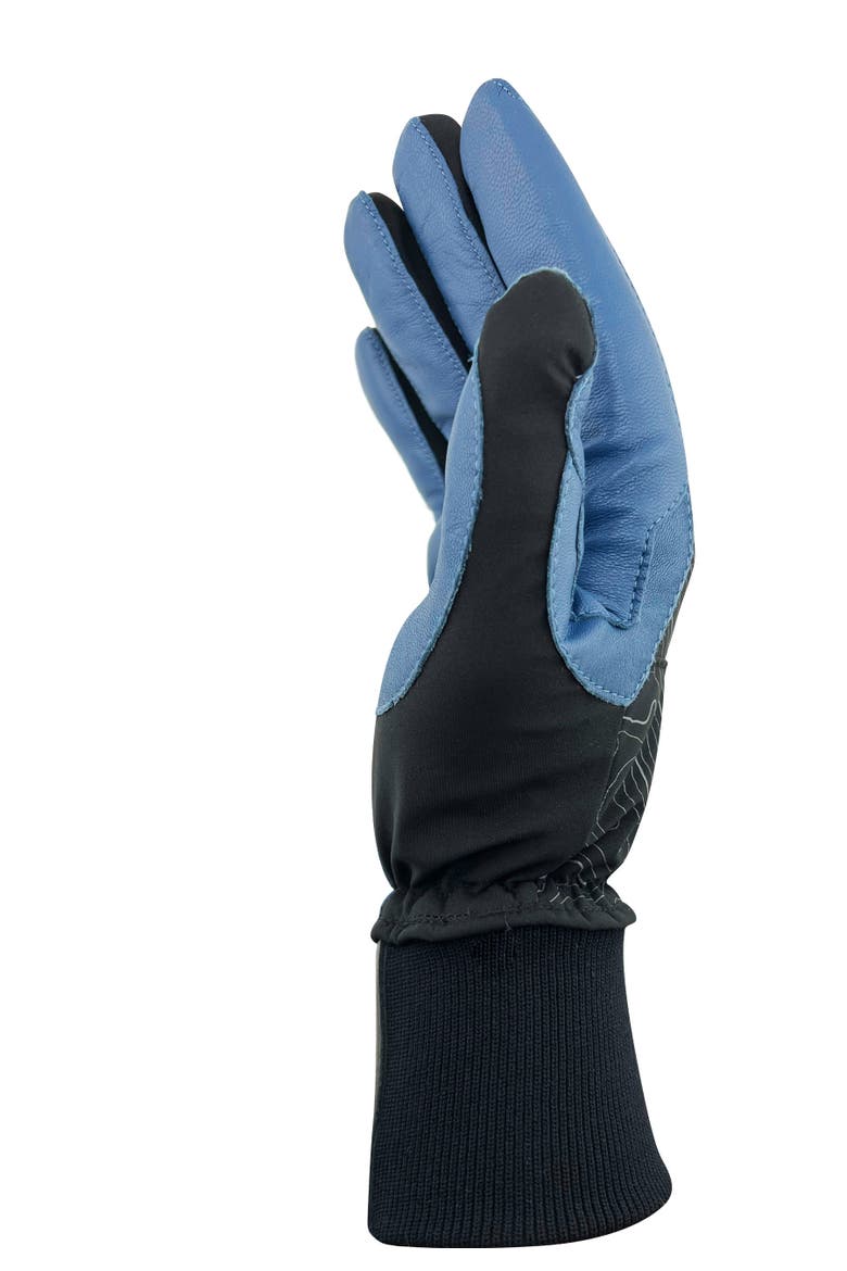 Performance Touchscreen Gloves with Leather Palm, Alternate, color, black/ blue