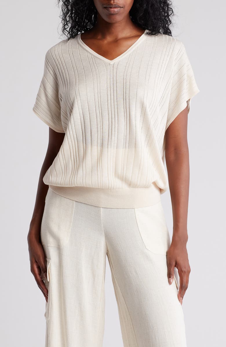 Adrianna Papell V-Neck Vertical Rib Sweater, Main, color, Barley