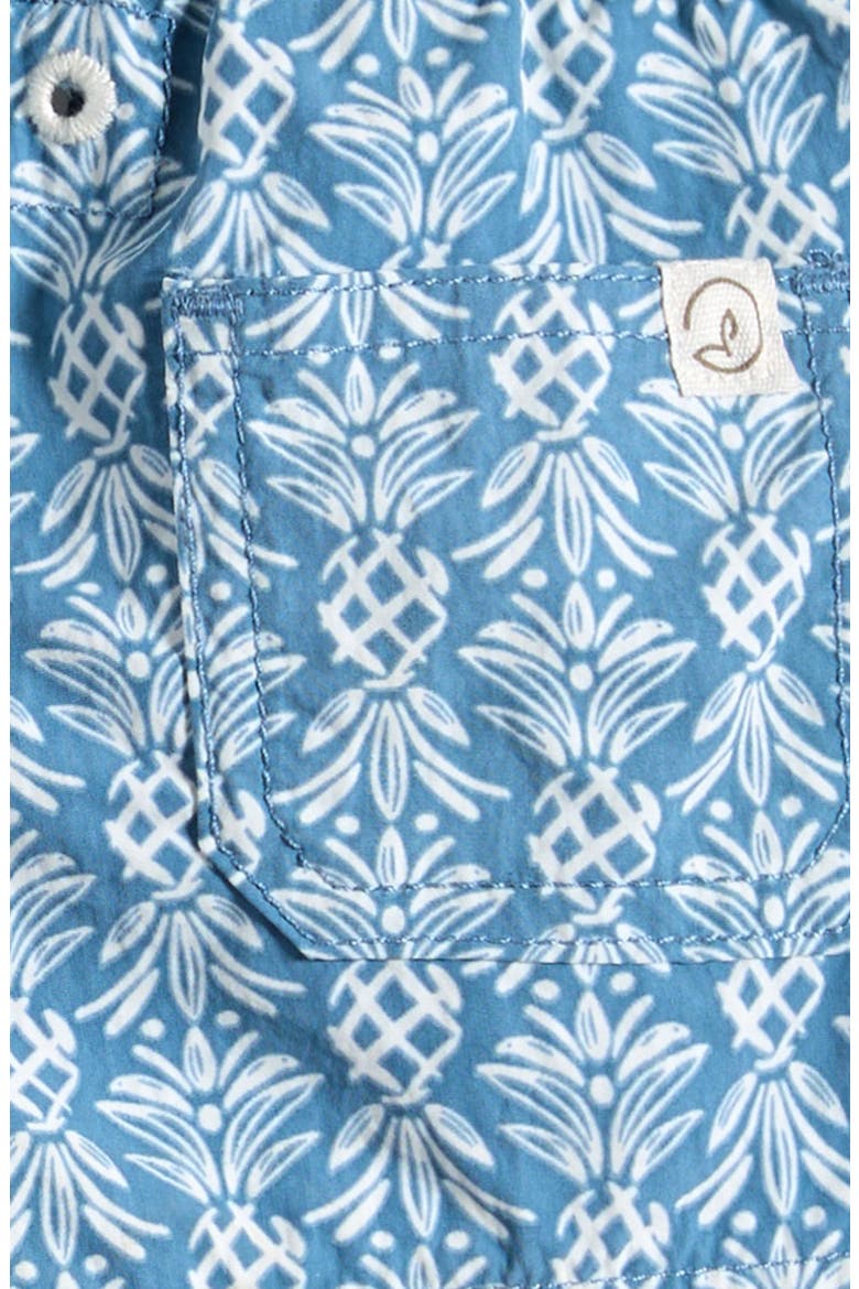 Print Swim Trunks, Alternate, color, BLUE