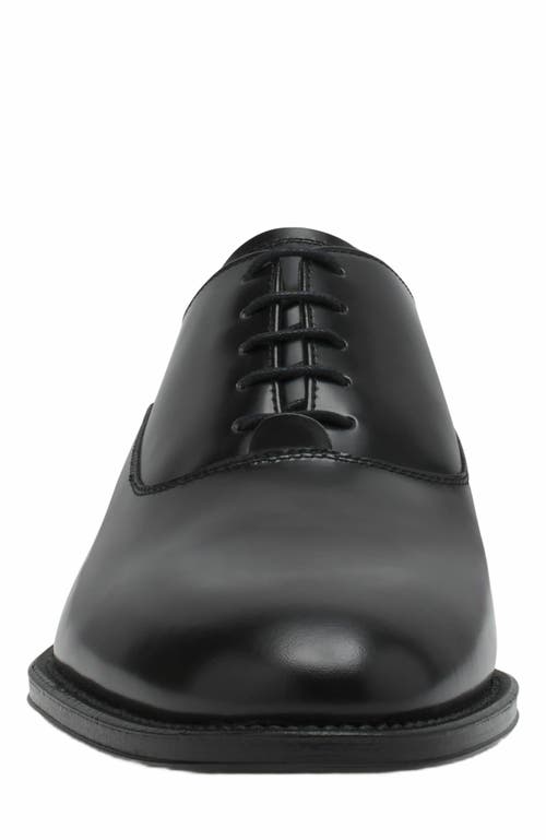 Lanvin Signature Leather Oxford Shoes