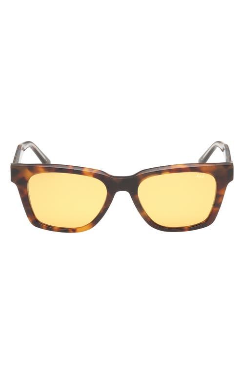 ABERCROMBIE & FITCH 52mm Square Sunglasses in Dark Havana /Brown Lens 