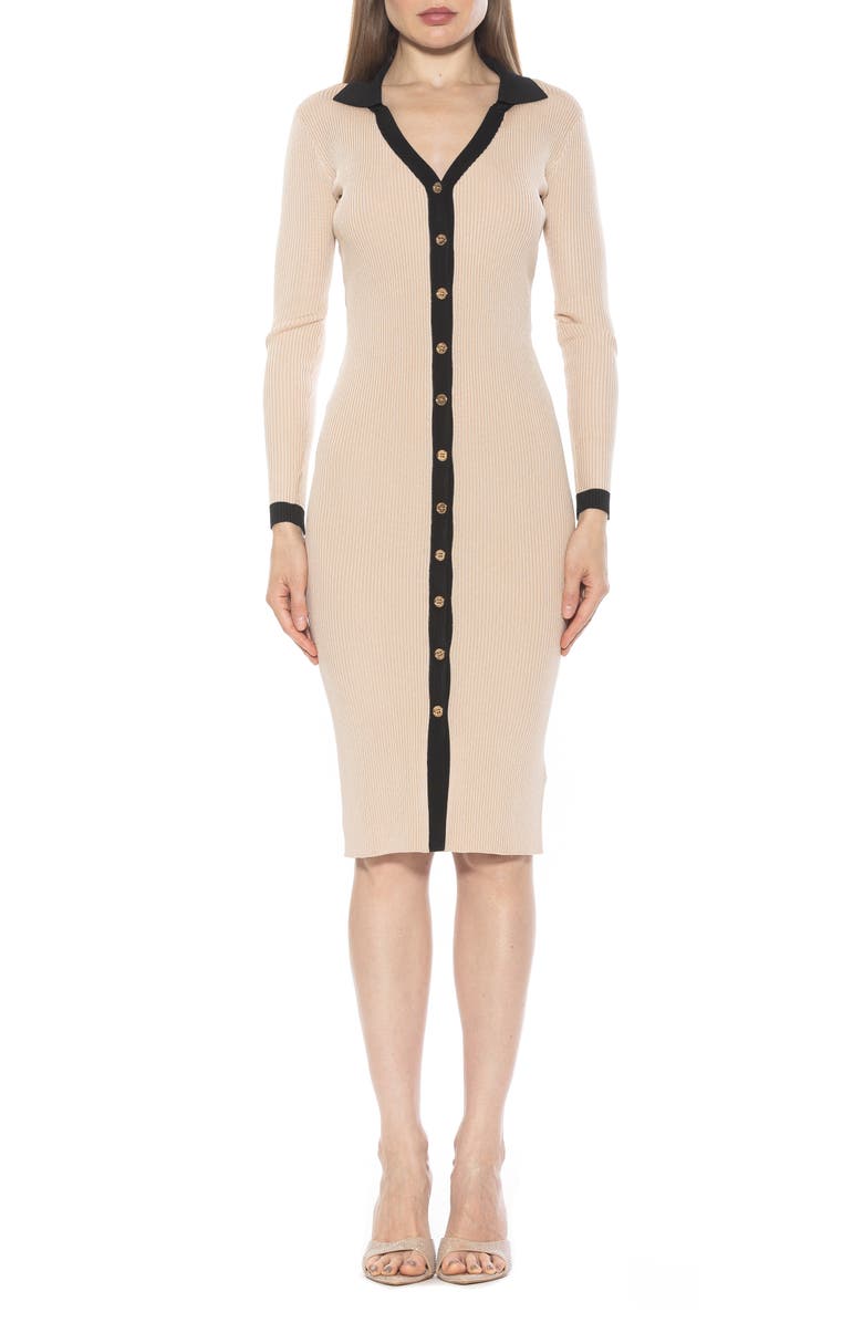 Alexia Admor Cordelia Knit Long Sleeve Shirtdress, Main, color, Ivory