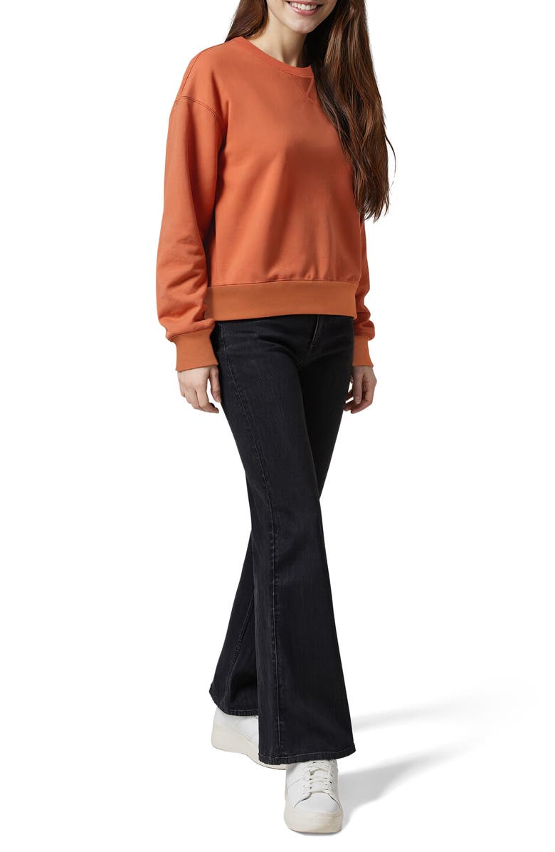 Wildfox Alex Tonight We Fly Sweatshirt, Alternate, color, Autum Leaf