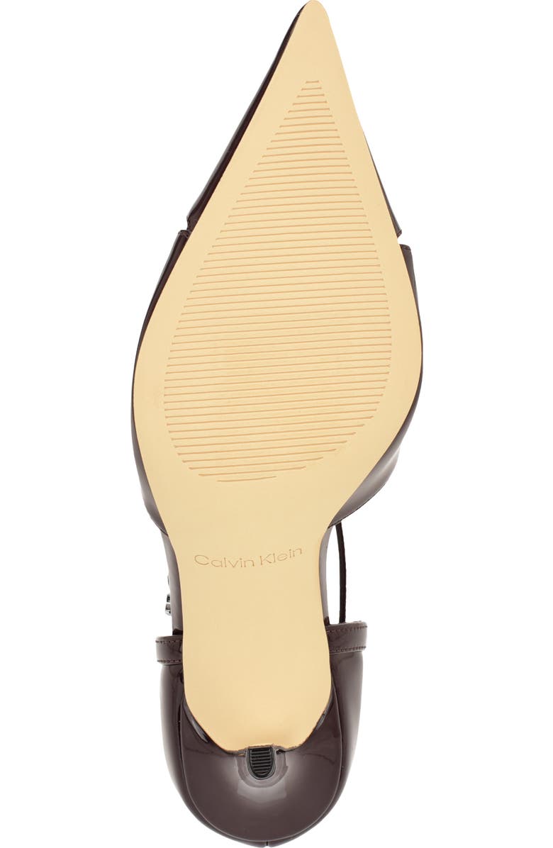 Calvin Klein Odielle Pointed Toe Pump, Alternate, color, Dark Red 600