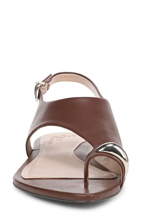 27 Edit Naturalizer Via Slingback Pointed Toe Sandal In Cappuccino