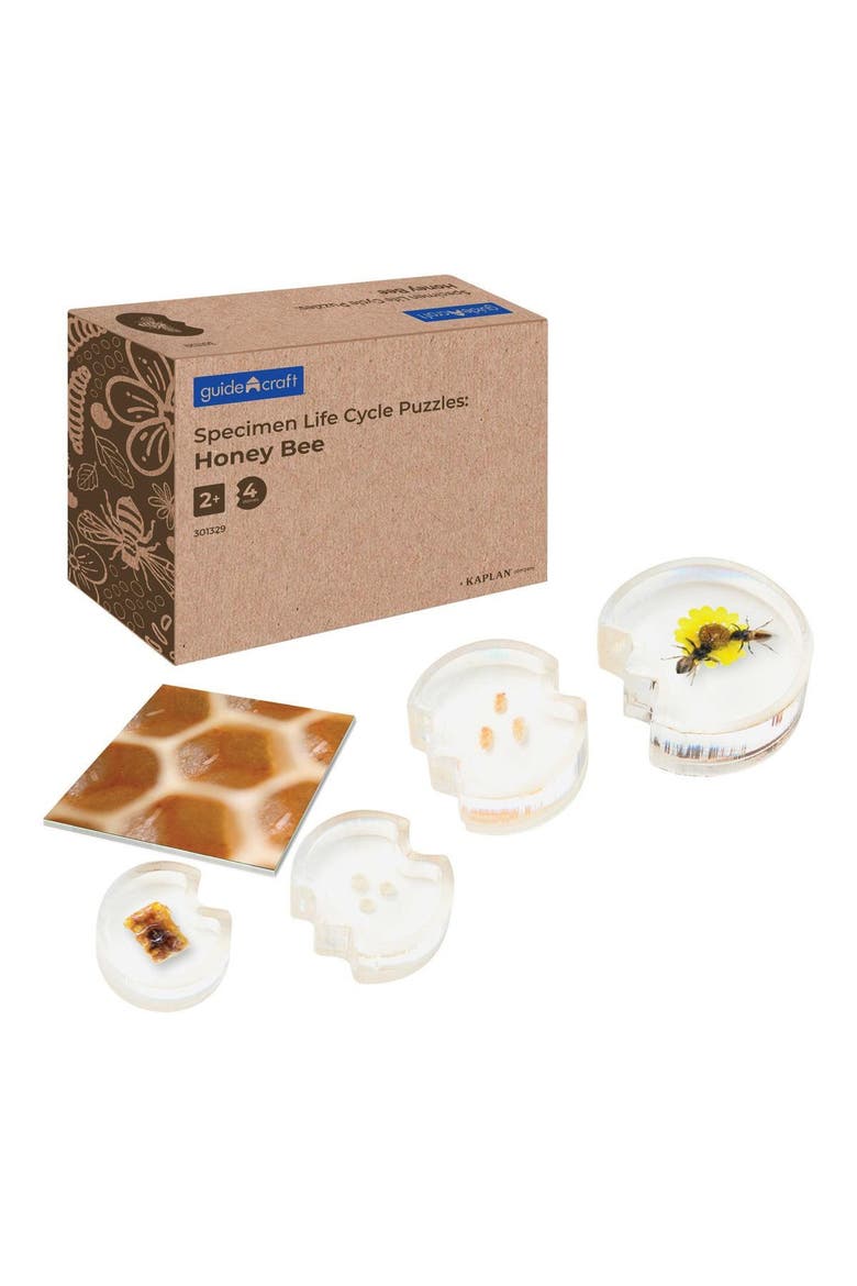 Specimen Life Cycle Puzzles - Honey Bee, Main, color, Multicolored