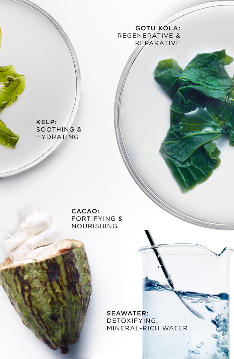 Noble Panacea The Brilliant Overnight Recharge Cream, Alternate, color, White