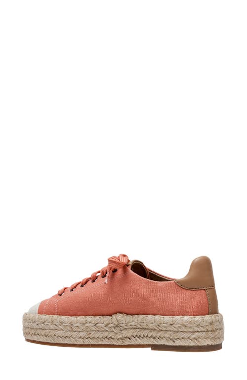 Shop Linea Paolo Silva Espadrille Sneaker In Rose/desert