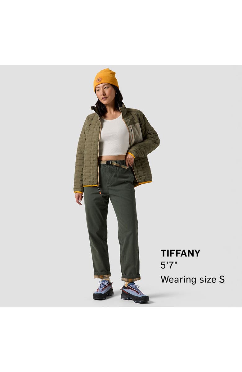 Backcountry Venture Daily Flannel Lined Pant - Women's, Alternate, color, Climbing Ivy