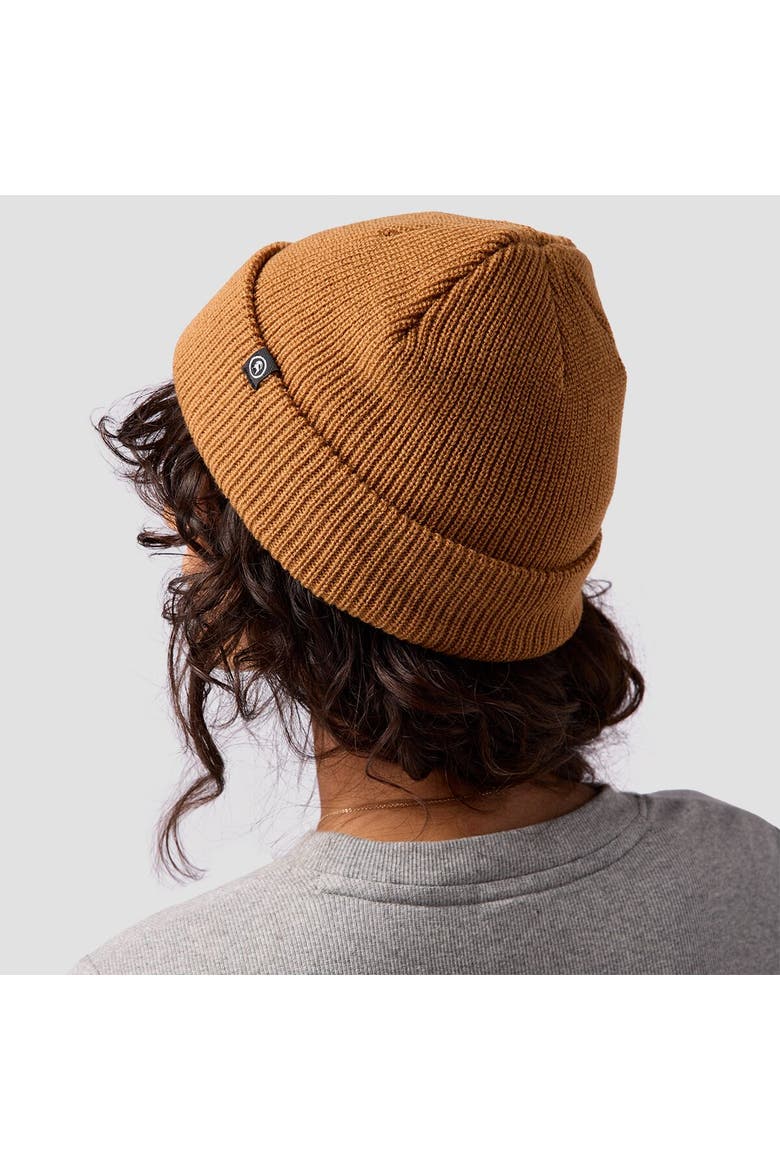 Capra Rolled Beanie, Alternate, color, Bistre