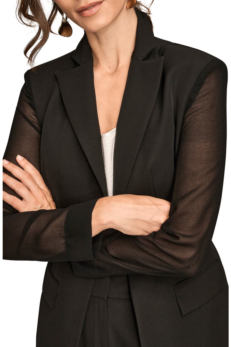 Sheer Sleeve Blazer, Alternate, color, BLACK