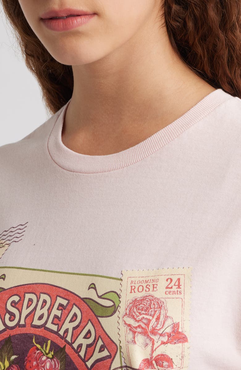 Vinyl Icons Raspberry Stamp Cotton Graphic T-Shirt, Alternate, color, Pink