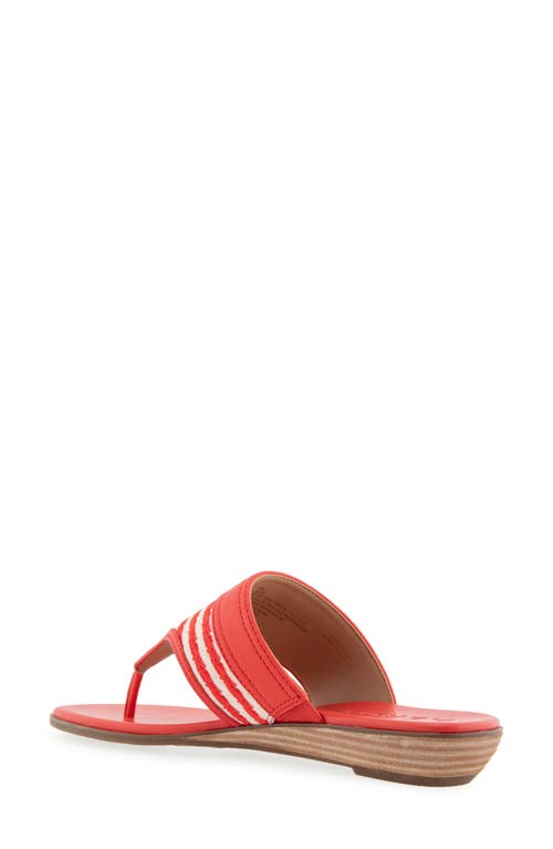 AEROSOLES AEROSOLES GESA THONG SANDAL 