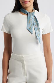 Echo Charmed Life Silk Ribbon Scarf