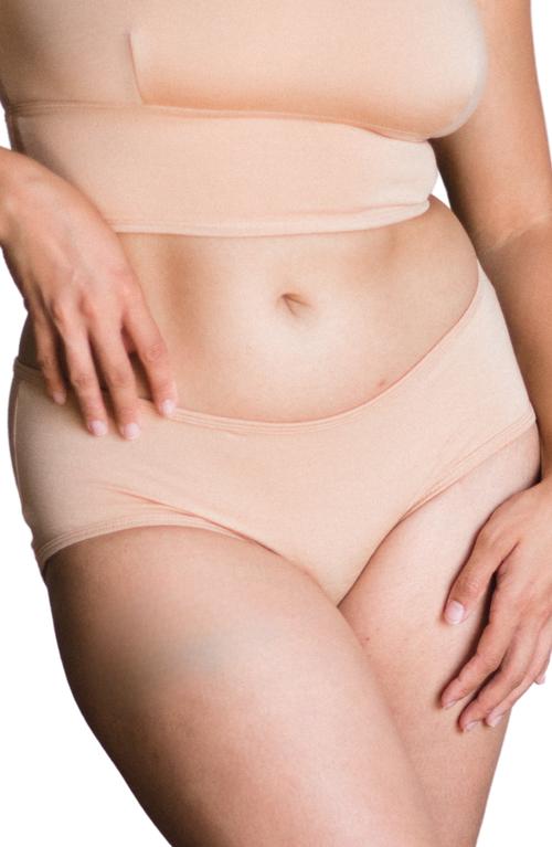 Proclaim Organic Cotton Mid Rise Brief In Animal Print