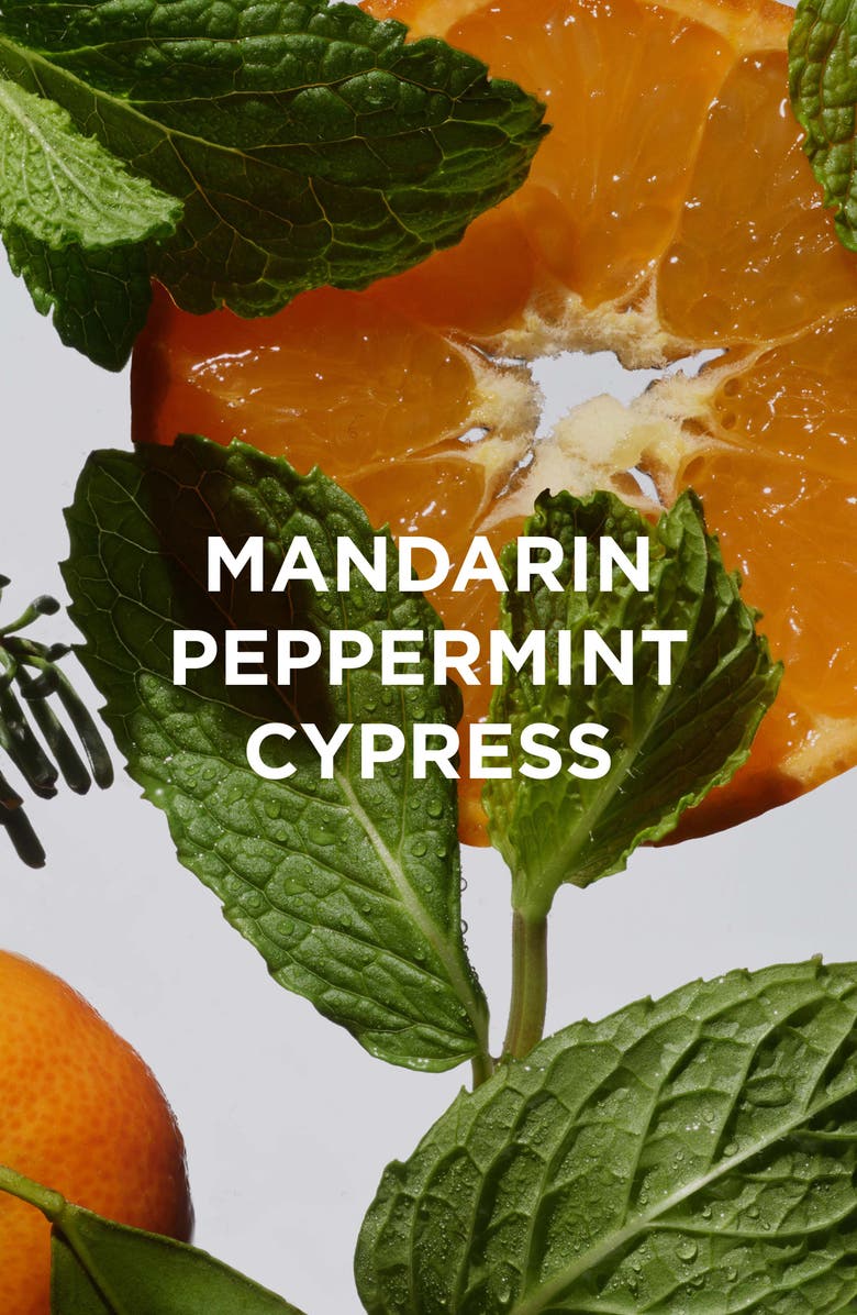 By Rosie Jane Chill Body Wash, Alternate, color, 