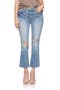 selected Janis Destructed