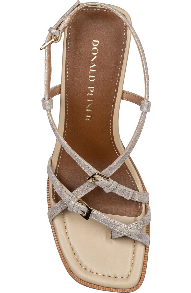 Daffney Strappy Sandal
