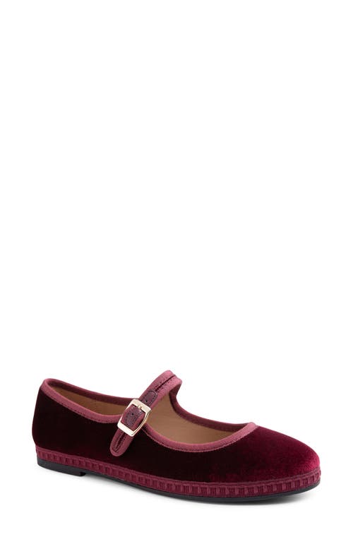 Me Too Gamma Ballet Flat In Burgundy