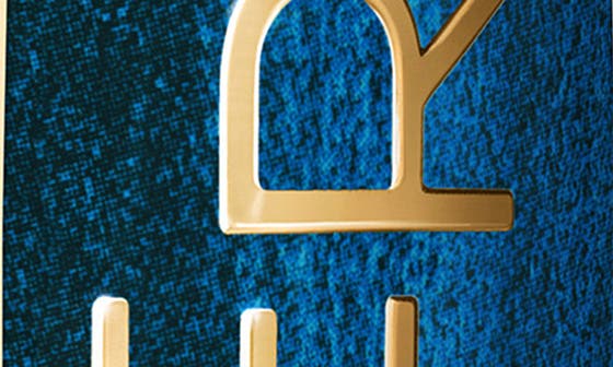 BLEU ICONIQUE