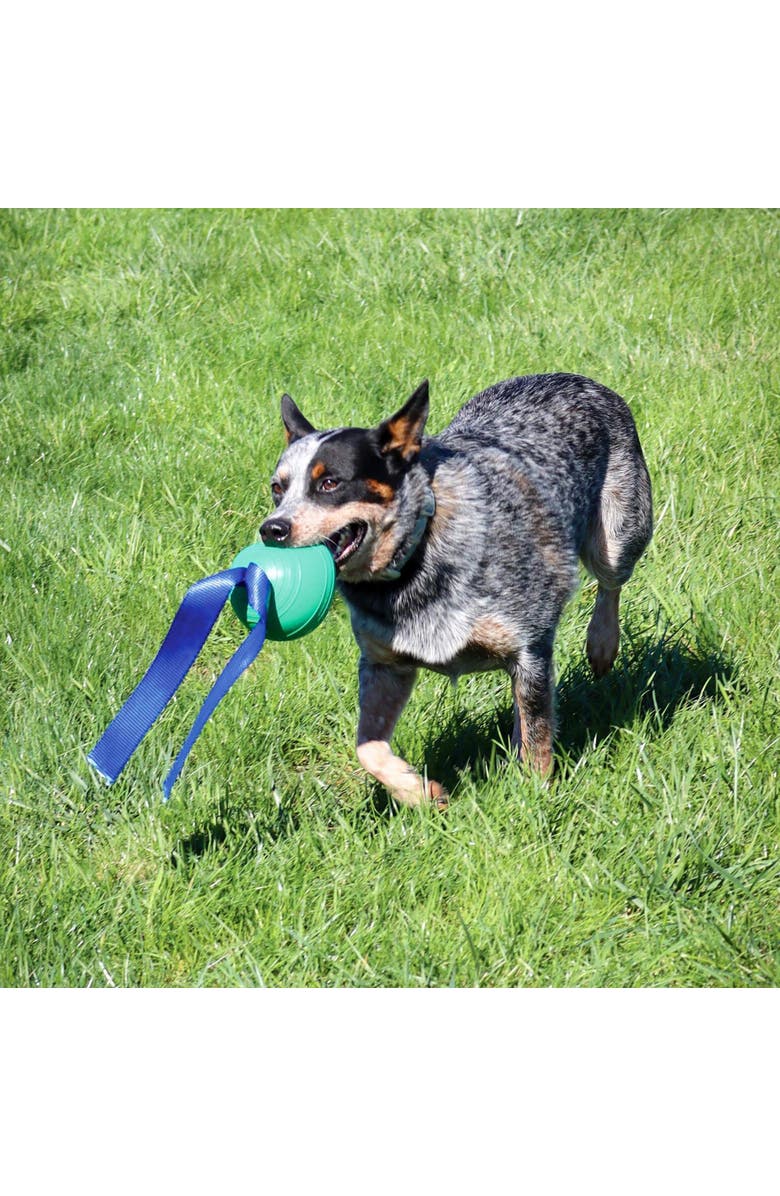 PetKORE KoreFlex Ball & Tail, 4.75 Inches, Green, Dog Toy, Alternate, color, Green