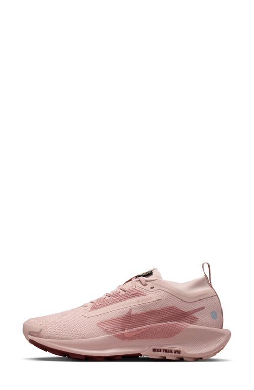 Nike Pegasus Trail 5 Gore-tex Sneakers In Pink In Pink Oxford/stardust