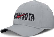 Nike Men's Nike Gray Minnesota Twins Primetime Rise Dri-FIT Flex Hat