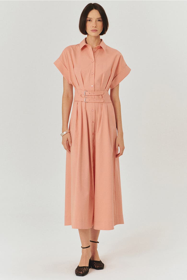 Samantha Midi Dress, Alternate, color, PINK