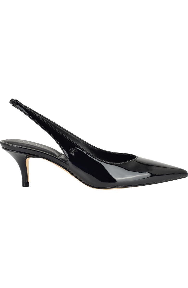 Calvin Klein Emersyn Pointed Toe Slingback Pump, Alternate, color,
