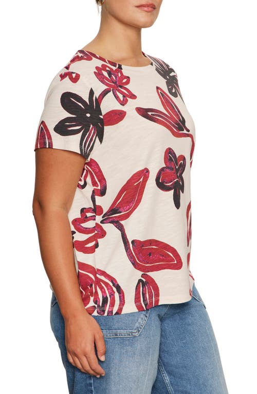 Sanctuary The Perfect T-shirt In Multi