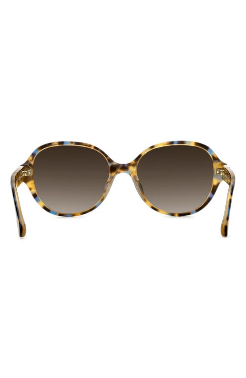 Kate Spade New York Emalie 56mm Gradient Oval Sunglasses In Havana Multicolor/brown Sf