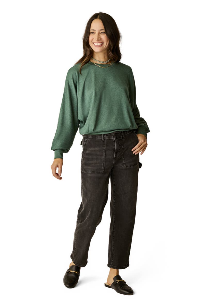Carve Designs Anneke Supersoft Dolman, Main, color, Bistro Heather