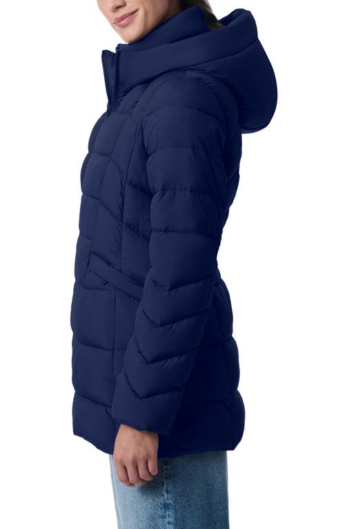 Bernardo Hooded Puffer Jacket With Bib In Navy