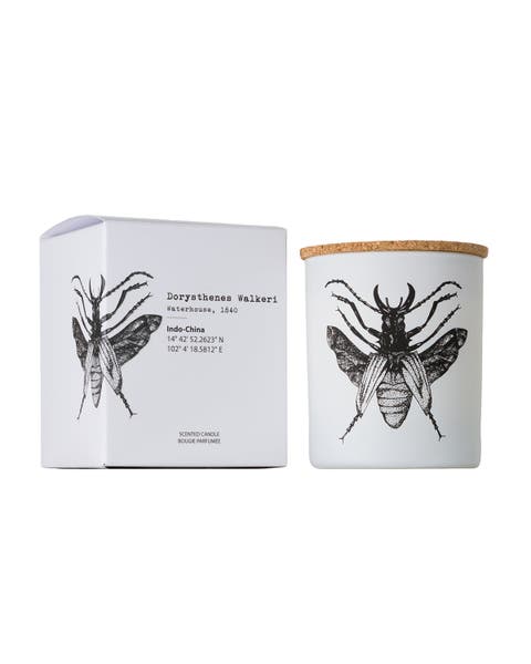 Vila Insect Candle In Jar 6.7 Ounce