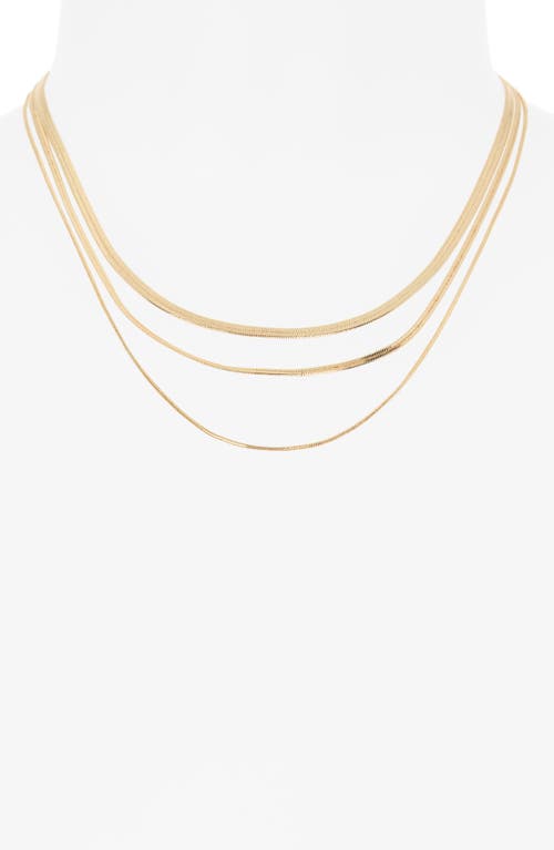 Nordstrom Rack Multirow Snake Chain Necklace In Gold