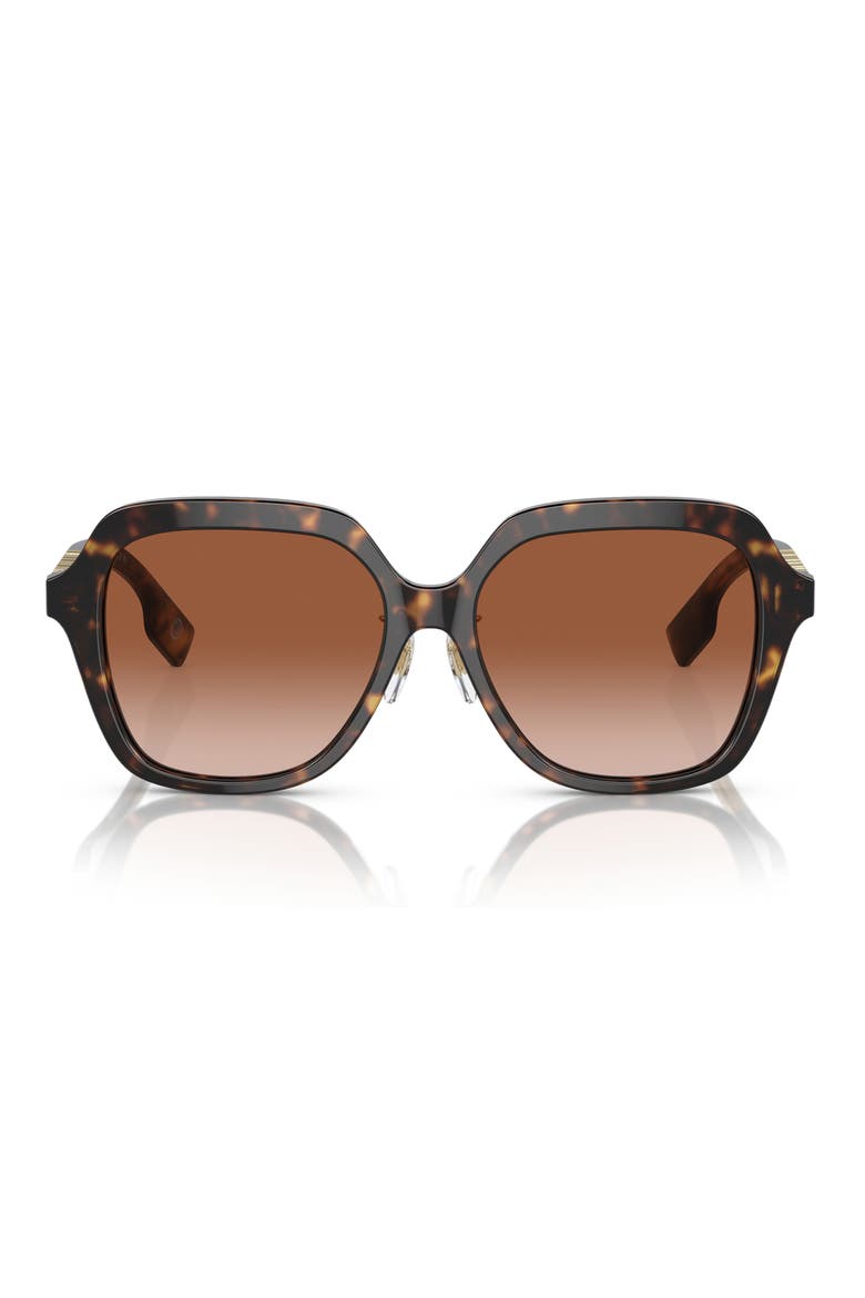 Joni 55mm Gradient Square Sunglasses, Main, color, DARK HAVANA/ BROWN GRADIENT