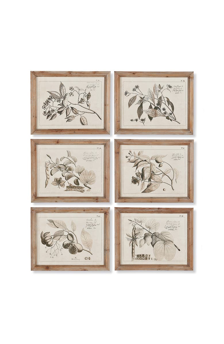 Napa Home & Garden Fruit Bearing Branch Illustrations Set of 6, Main, color, Grey