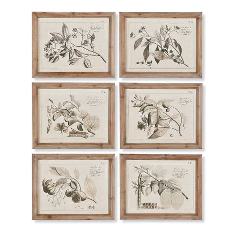 Fruit Bearing Branch Illustrations Set of 6
