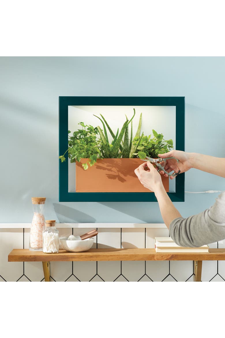 Smart Growframe, Alternate, color, Emerald