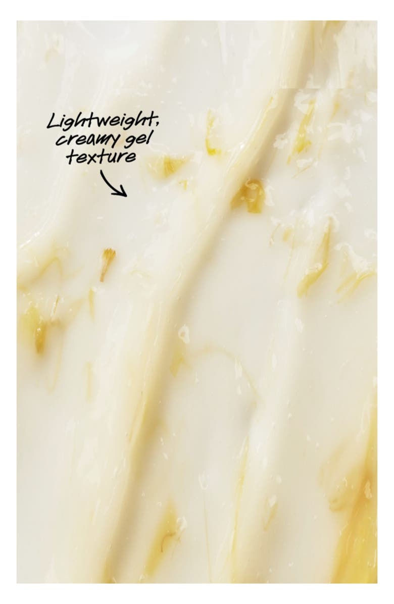 Kiehl's Since 1851 Calendula Petal-Infused Calming Mask, Alternate, color, 